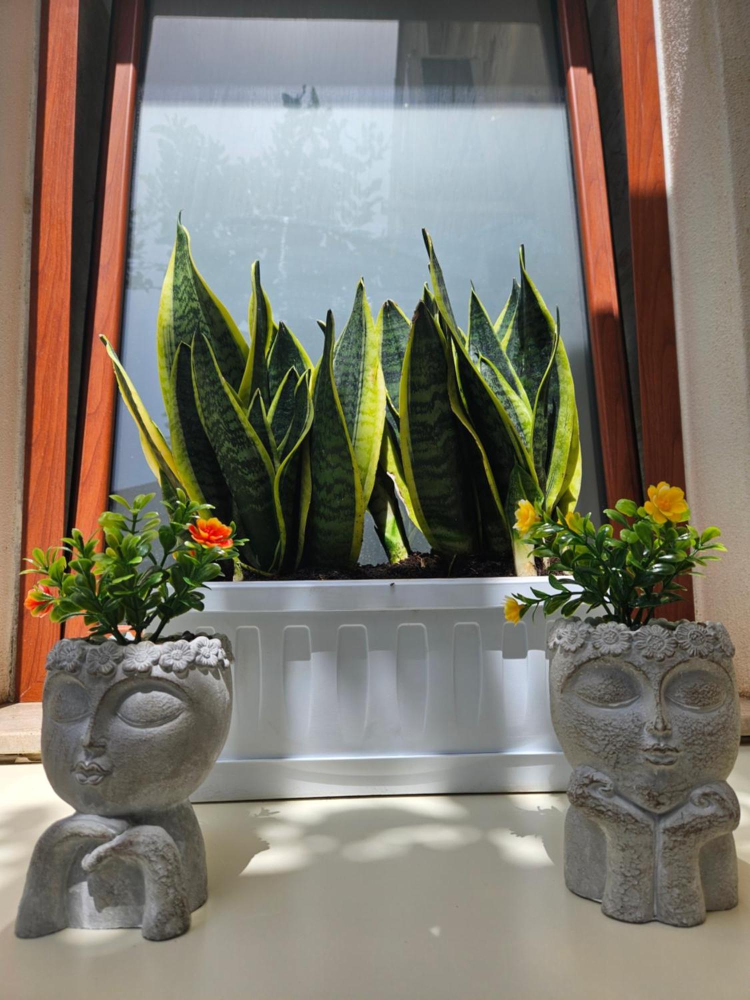 Guru House B&B Apartments Milazzo Eksteriør bilde